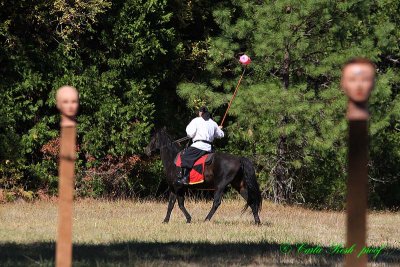 20141004_0469.JPG