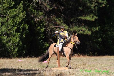 20141004_0506.JPG