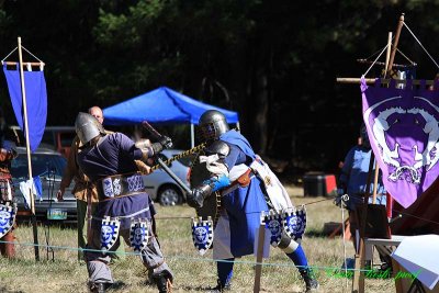 20141004_0985.JPG