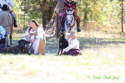 20141004_1004.JPG