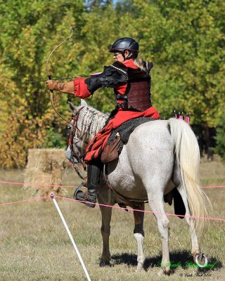 20141004_1105_ba8x10.jpg