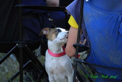 20141004_2260.JPG