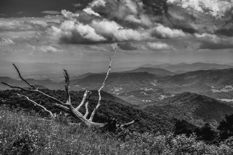 IMG_0323-Edit 8x12.jpg