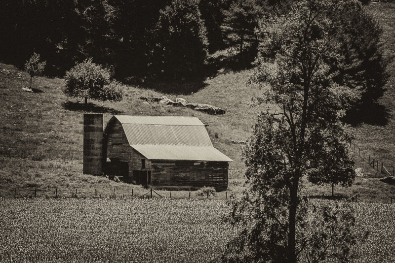 IMG_1121-Edit 8x12.jpg