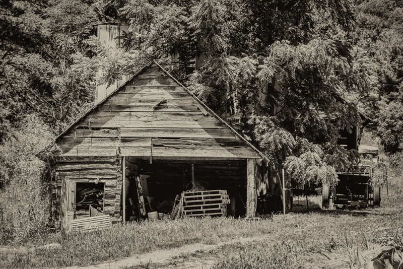 IMG_1147-Edit 8x12.jpg