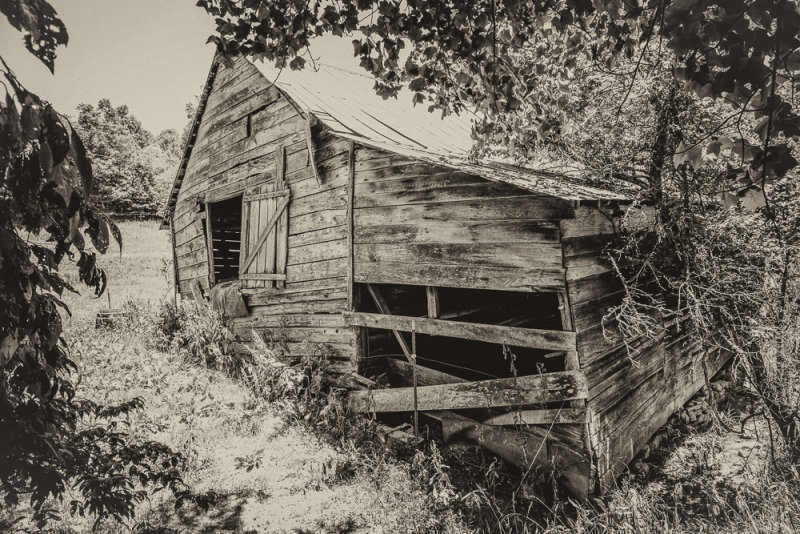 IMG_1154-Edit 8x12.jpg