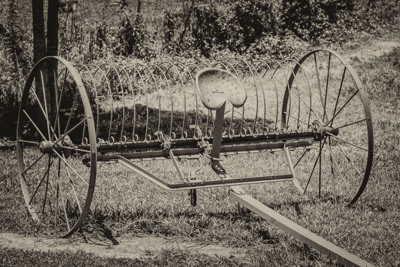 IMG_1204-Edit 8x12.jpg