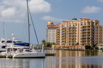 Sarasota harbor