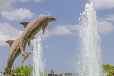 Dolphin statues
