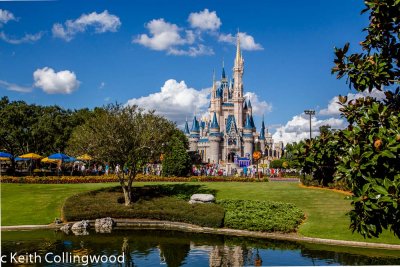 A view of Cinderella's castle.