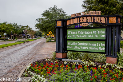 Welcome to Winter Garden