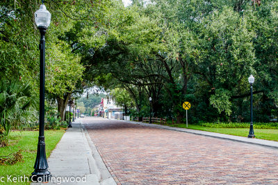 IMG_7521 Winter Garden.jpg