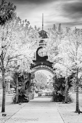 IMG_7578 Winter Garden.jpg