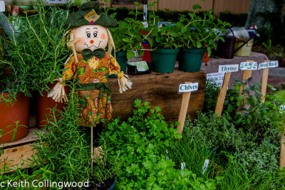 IMG_7799 Winter Garden.jpg