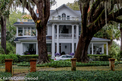 IMG_7861 Winter Garden.jpg