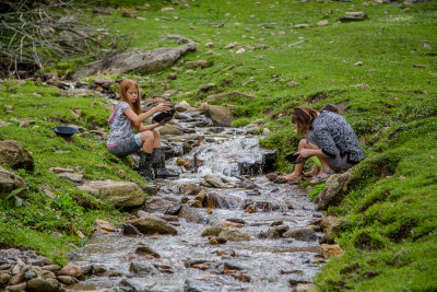 Panning for gold