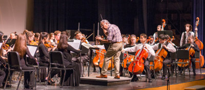 Florida Young Artists Orchestra Fall Festival 2014