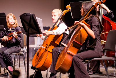 Sinfonia viola and cellos.jpg