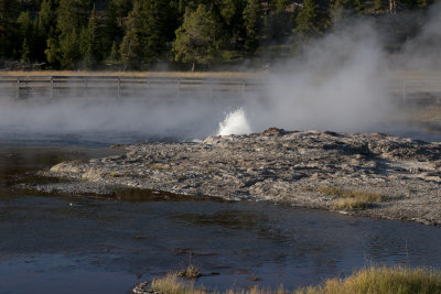 Steady Geyser