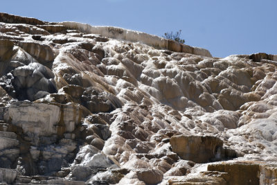Palette Spring