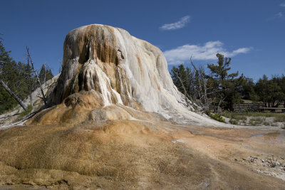 :: Mammoth Hot Springs ::