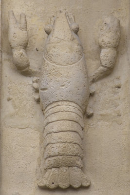 Lobster Detail