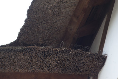 Thatch detail