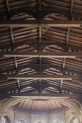 Choir and Apse Ceiling, looking East