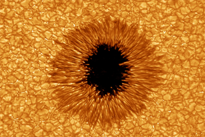 Sunspots and Cycle 24