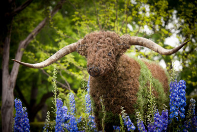 Dallas Arboretum