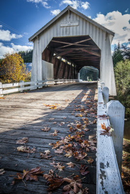 _MG_3293.jpg