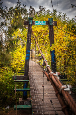 Swinging (Coast Fork Willamette) Bridge