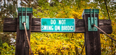 Swinging (Coast Fork Willamette) Bridge