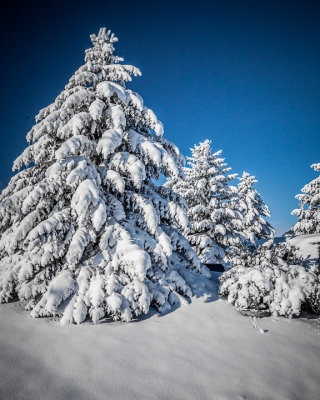 Mid-Winter in eastern and central Washington State 2015-2016