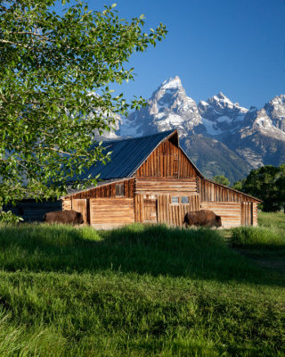 Mormon Barns