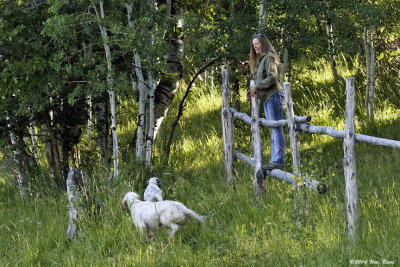 Wanda and the boys out for a a walk.jpg