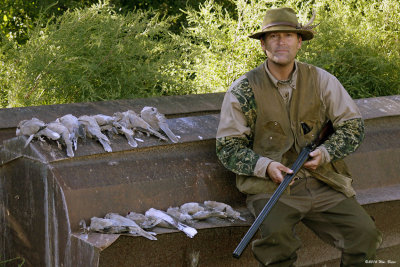 Dove hunt a 09_01_14.jpg