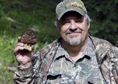 morels 2.jpg