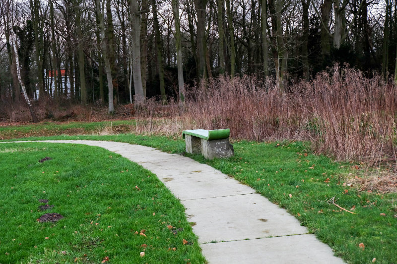 DSCF0332.jpg