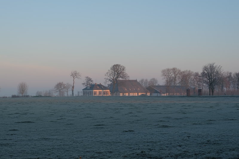 Cold & Foggy Morning