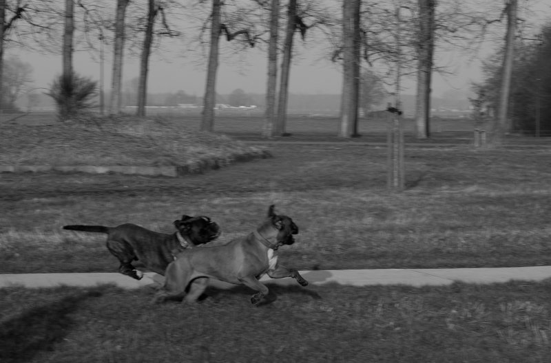 DSCF1557bw.JPG