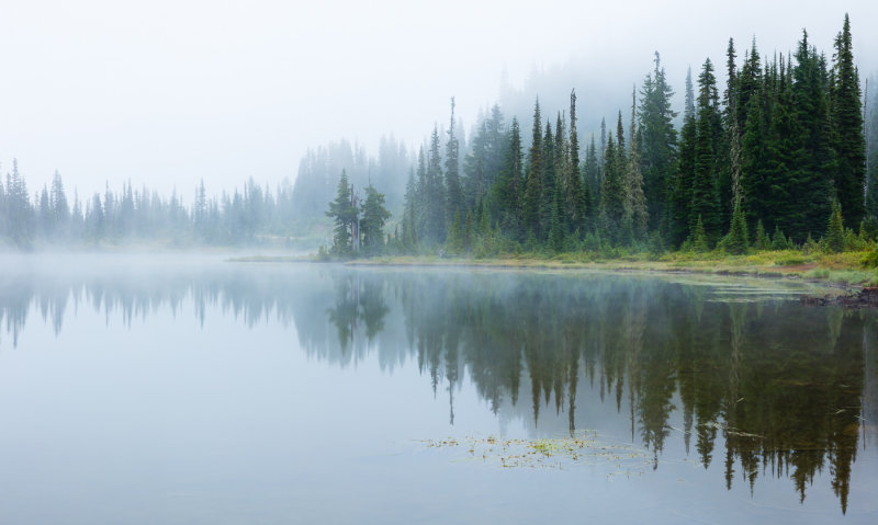 Mt. Rainier NP