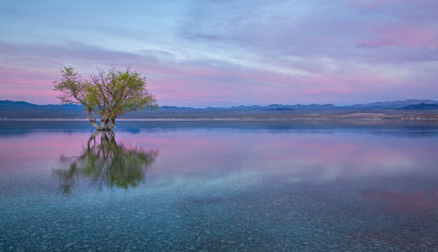 Lake Mojave, Arizona