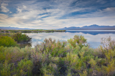 Lake Mojave, Arizona