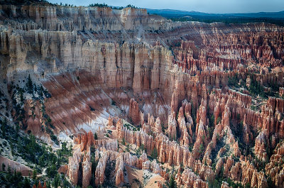 _DSC3348.jpg