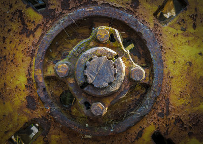 old tractor wheel.jpg