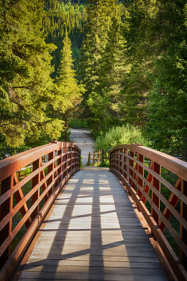 footbridge.jpg