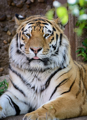 denver_zoo_2016