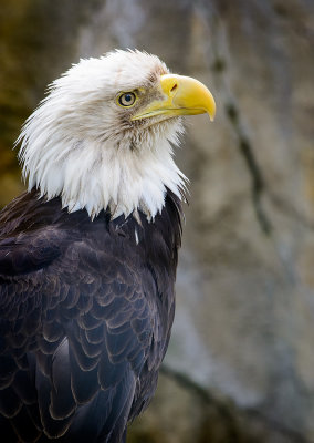_DSC2045.jpg
