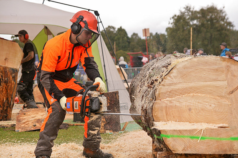 Carve Carrbridge 30th August 2014 025